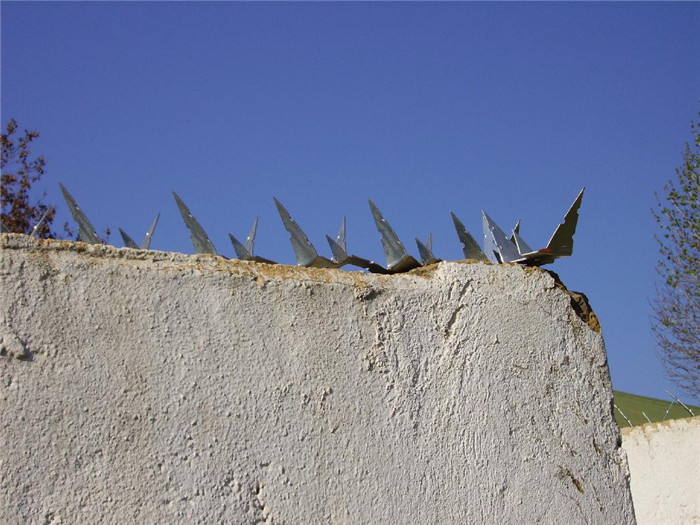 security spikes / wall spikes / spike barrier