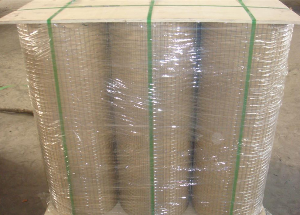 green plastic coating wire mesh